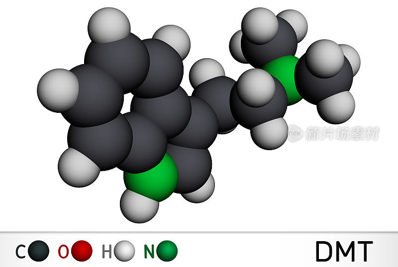N,N-二甲基色胺，二甲基色胺，DMT分子。它是色胺生物碱，吲哚胺衍生物，5 -羟色胺能致幻剂。分子模型。三维渲染